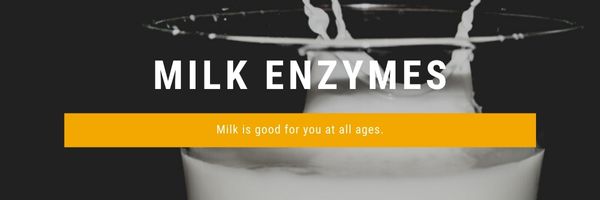 Milk Enzymes