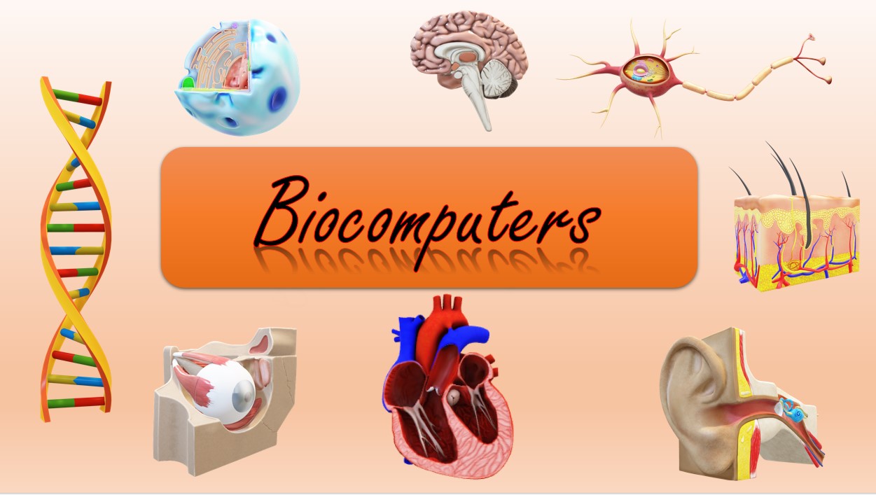BIOCOMPUTERS AND WHAT THEY DO